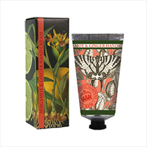 ��ǰ�̹���